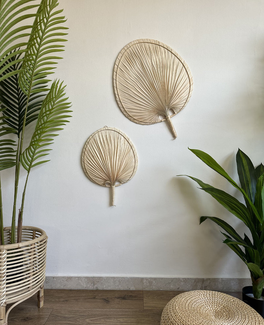 מניפת דקל שייח