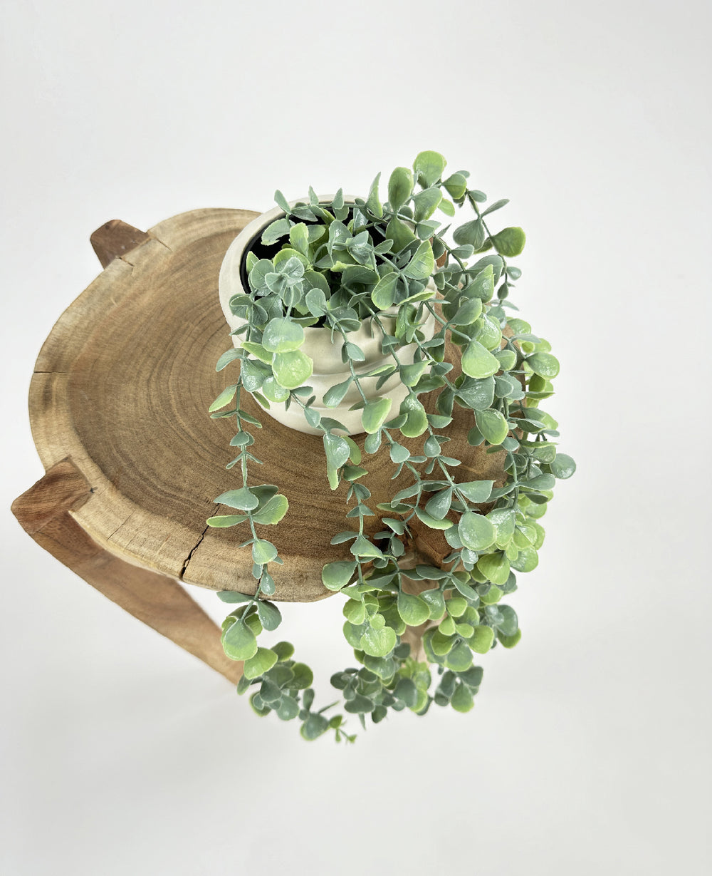 עציץ מלאכותי סברינה