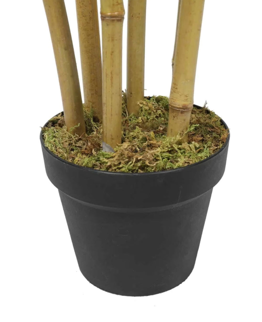 מלאכותי במבוק מלאכותי