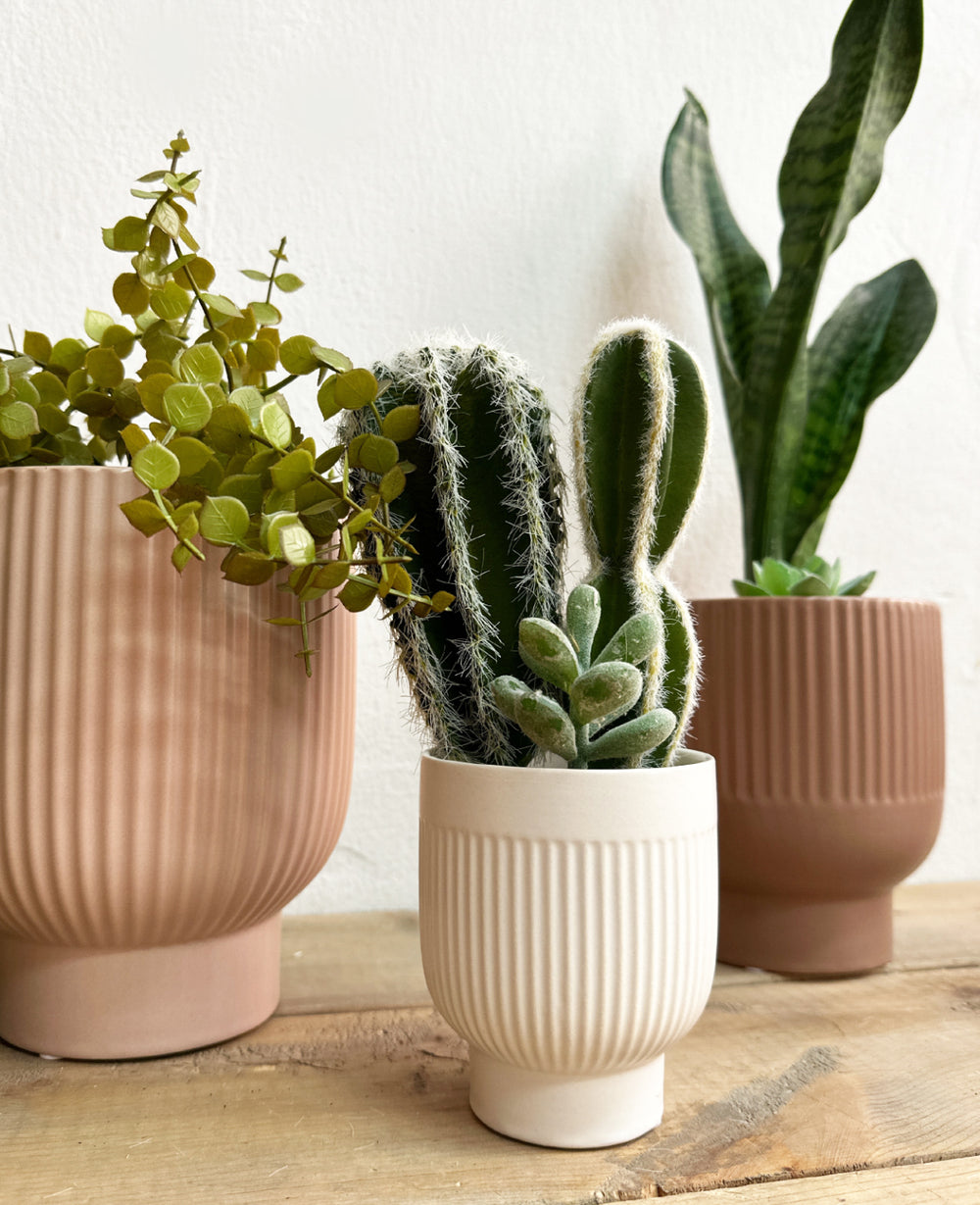 כלי לעציץ סטרייפ