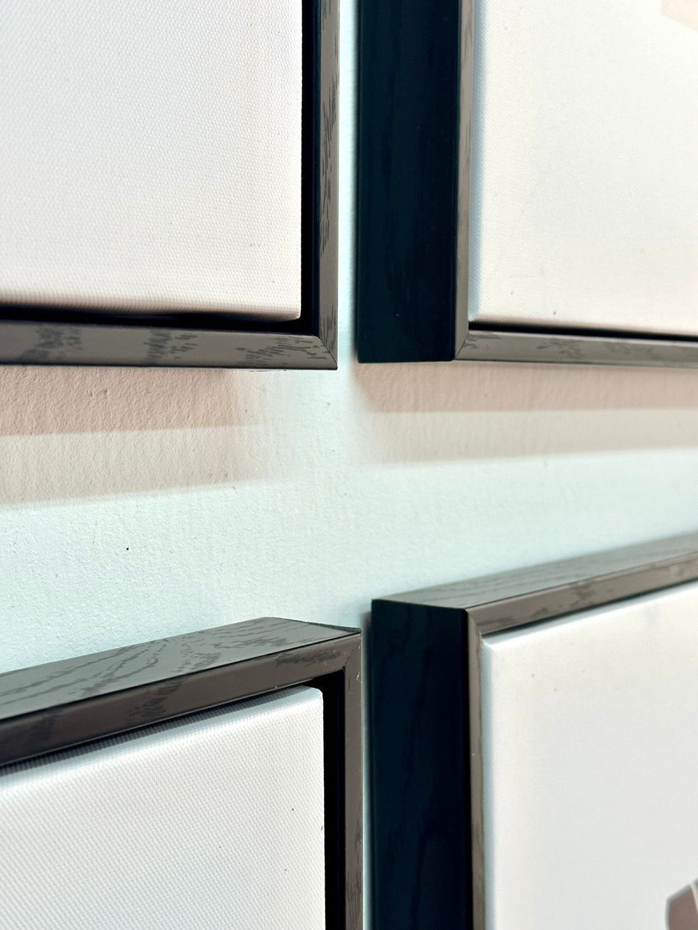 תמונות קיר מונו ליינס