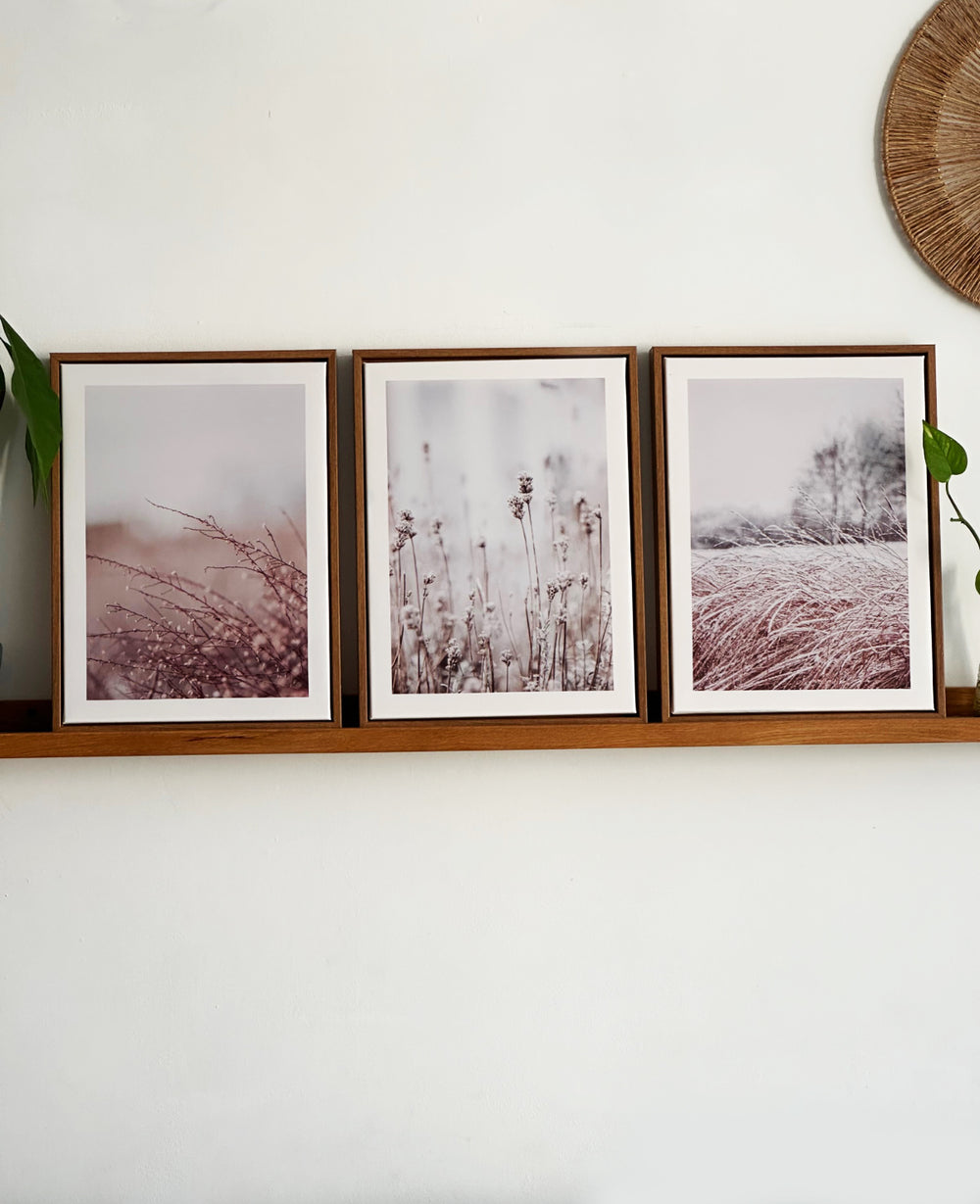 תמונות קיר ווילד