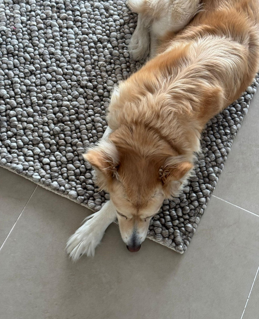 שטיח Brown Magnor