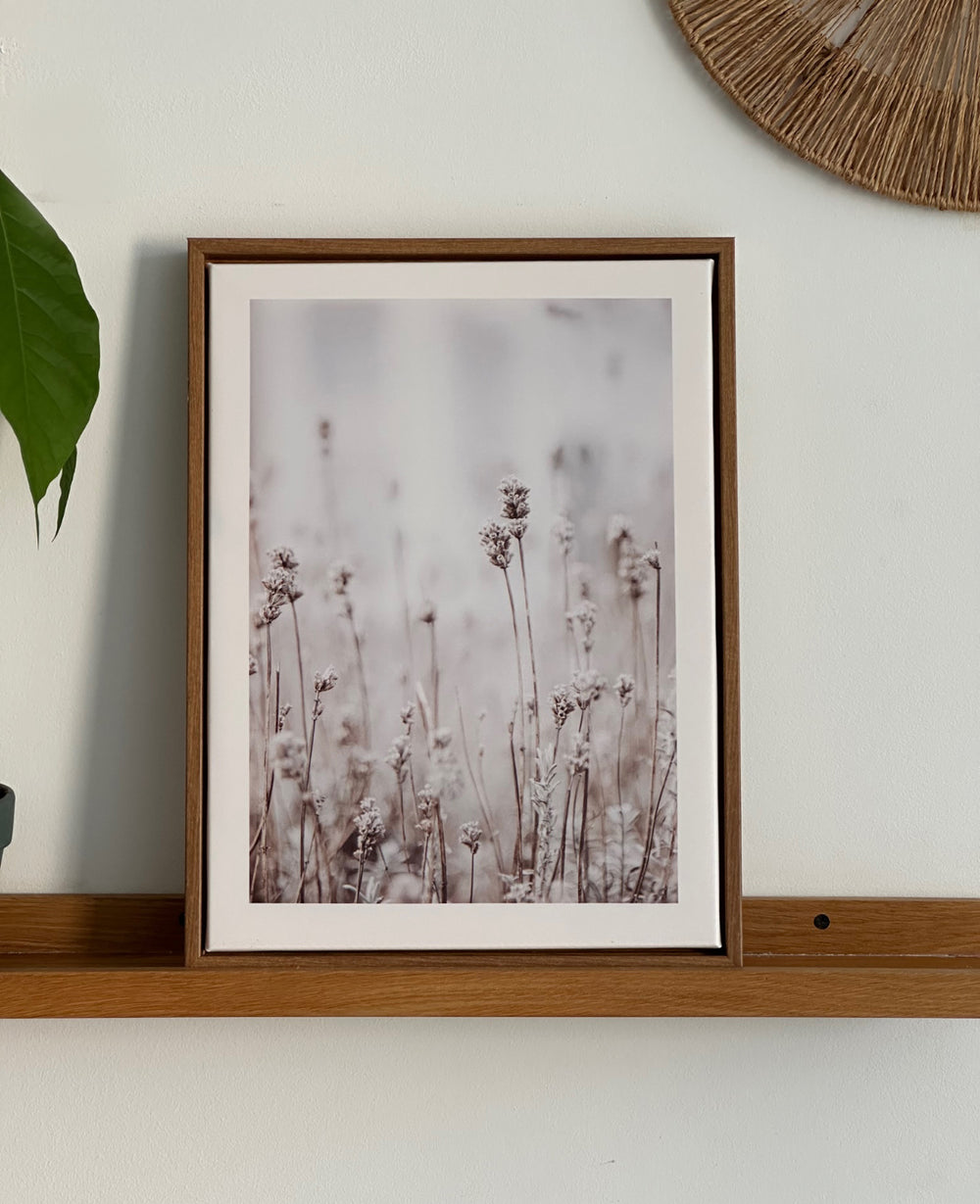 תמונות קיר ווילד