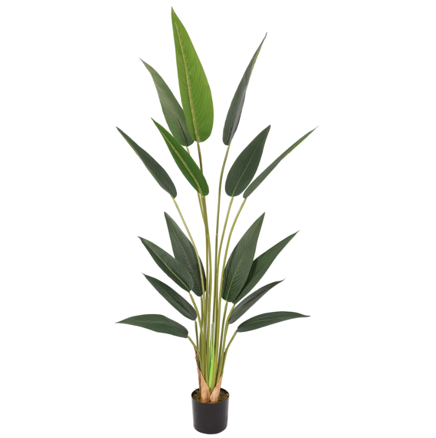 עציץ מלאכותי ציפור גן עדן