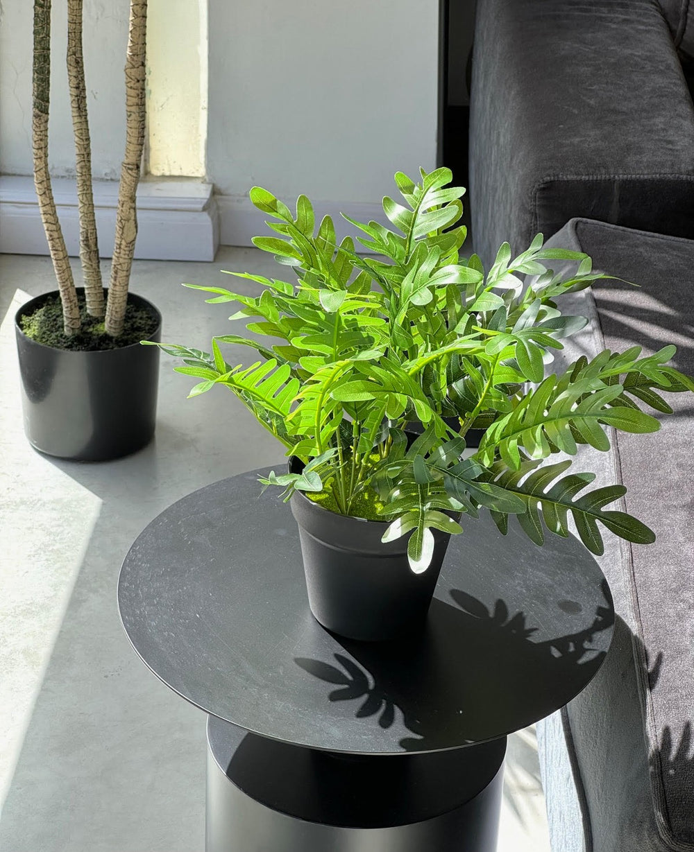 עציץ מלאכותי פילדלפיה