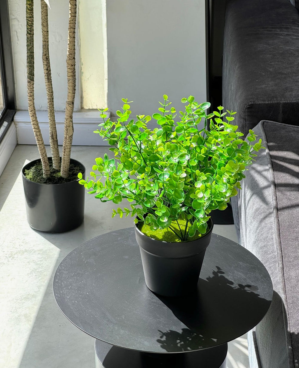 עציץ מלאכותי אקליפטוס