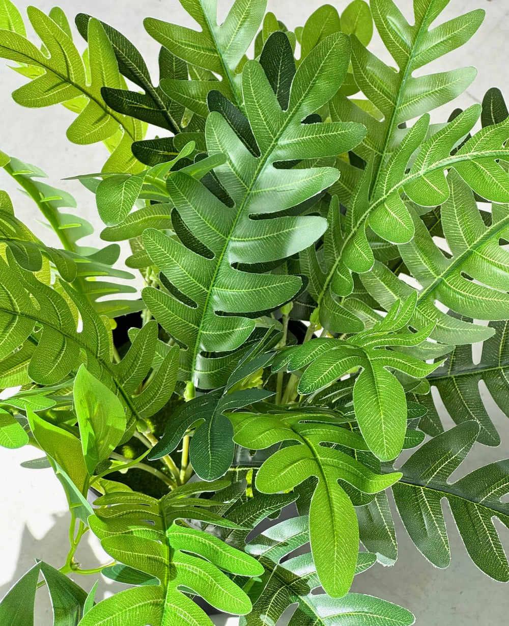 עציץ מלאכותי פילדלפיה