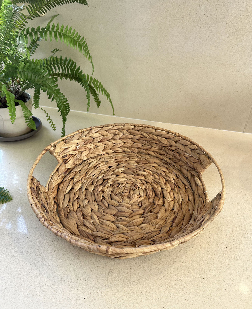 מגש עשב ים סוף