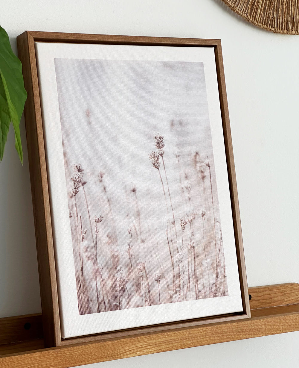 תמונות קיר ווילד