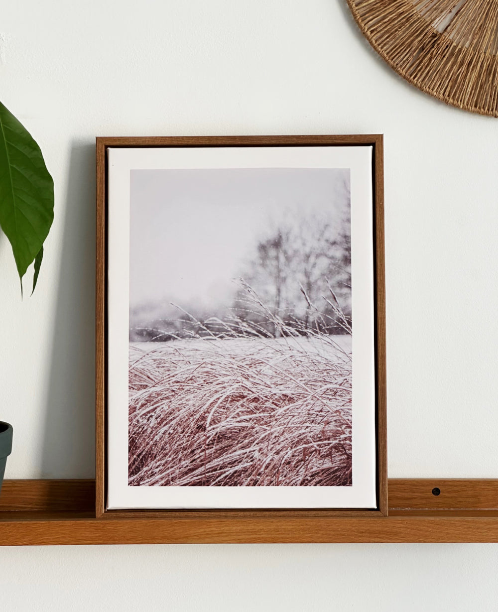 תמונות קיר ווילד