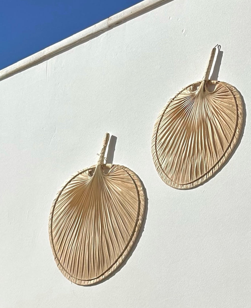 מניפת דקל שייח