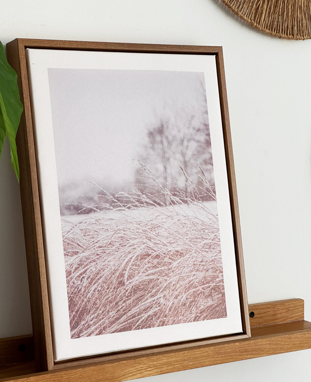 תמונות קיר ווילד