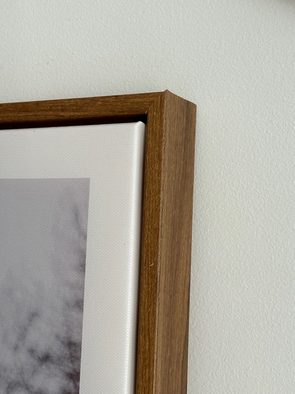 תמונות קיר ווילד