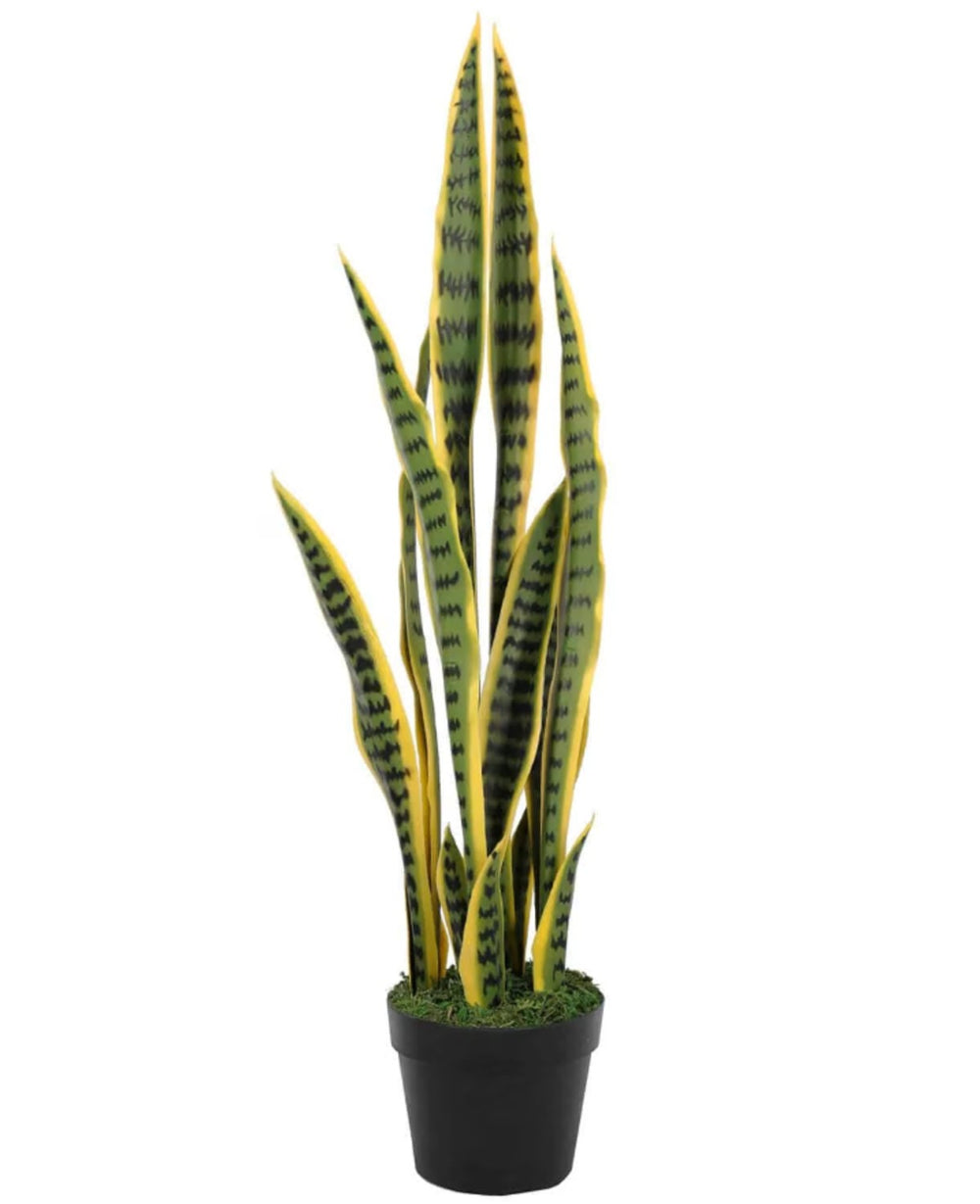 עציץ מלאכותי סנסיוורה