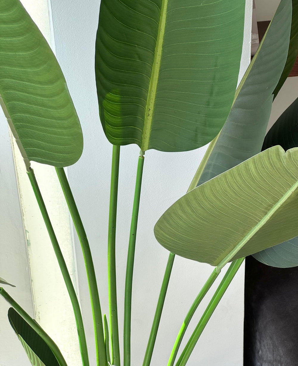 עציץ מלאכותי בננה