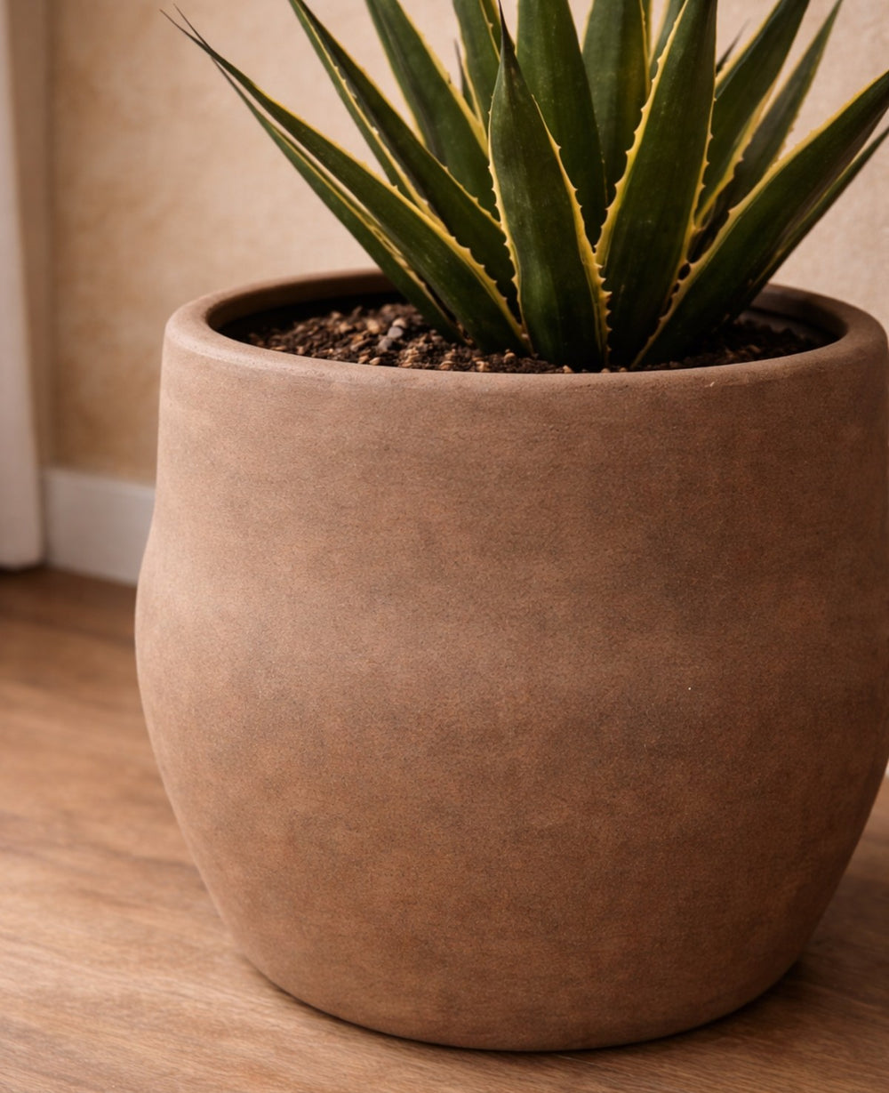 כד אליס מוקה