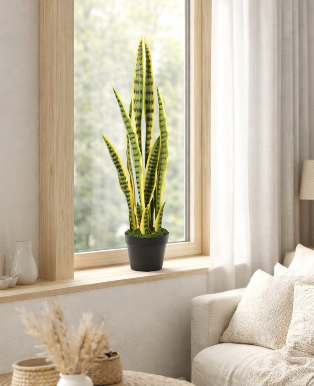 עציץ מלאכותי סנסיוורה