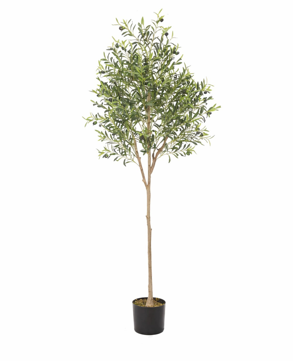 עציץ מלאכותי עץ זית