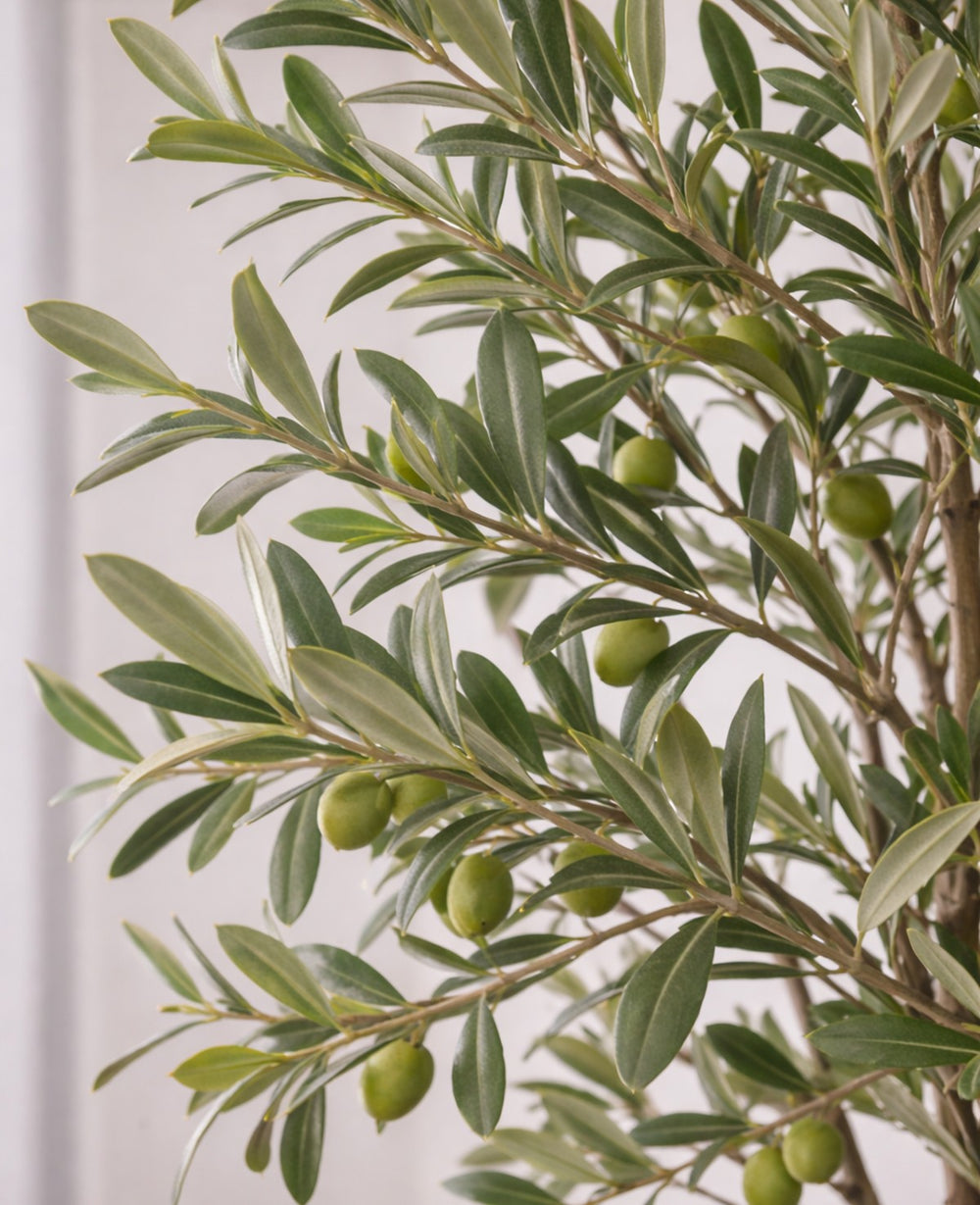 עציץ מלאכותי עץ זית