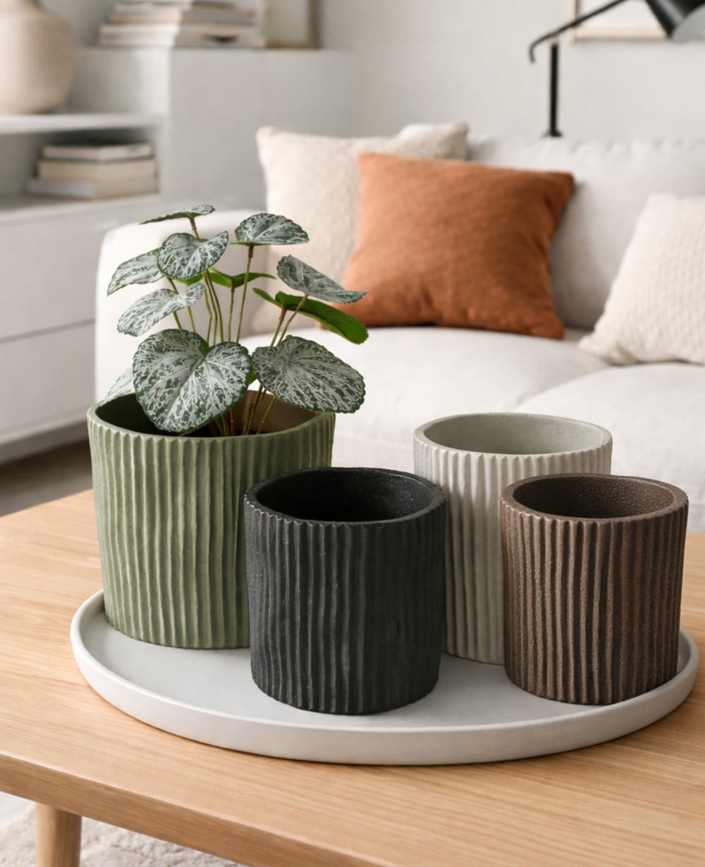 כלי בטון לעציץ לוסי