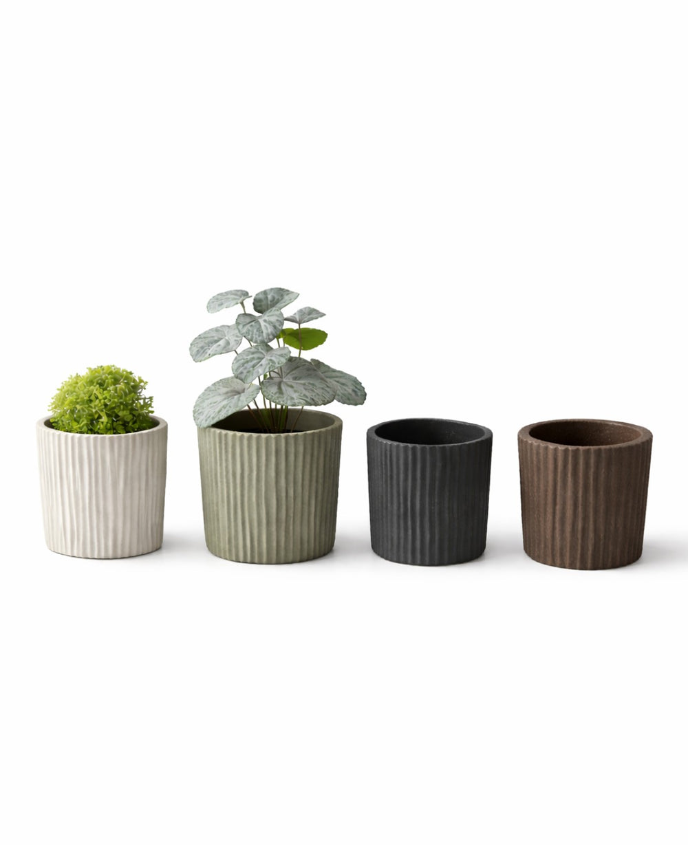 כלי בטון לעציץ לוסי