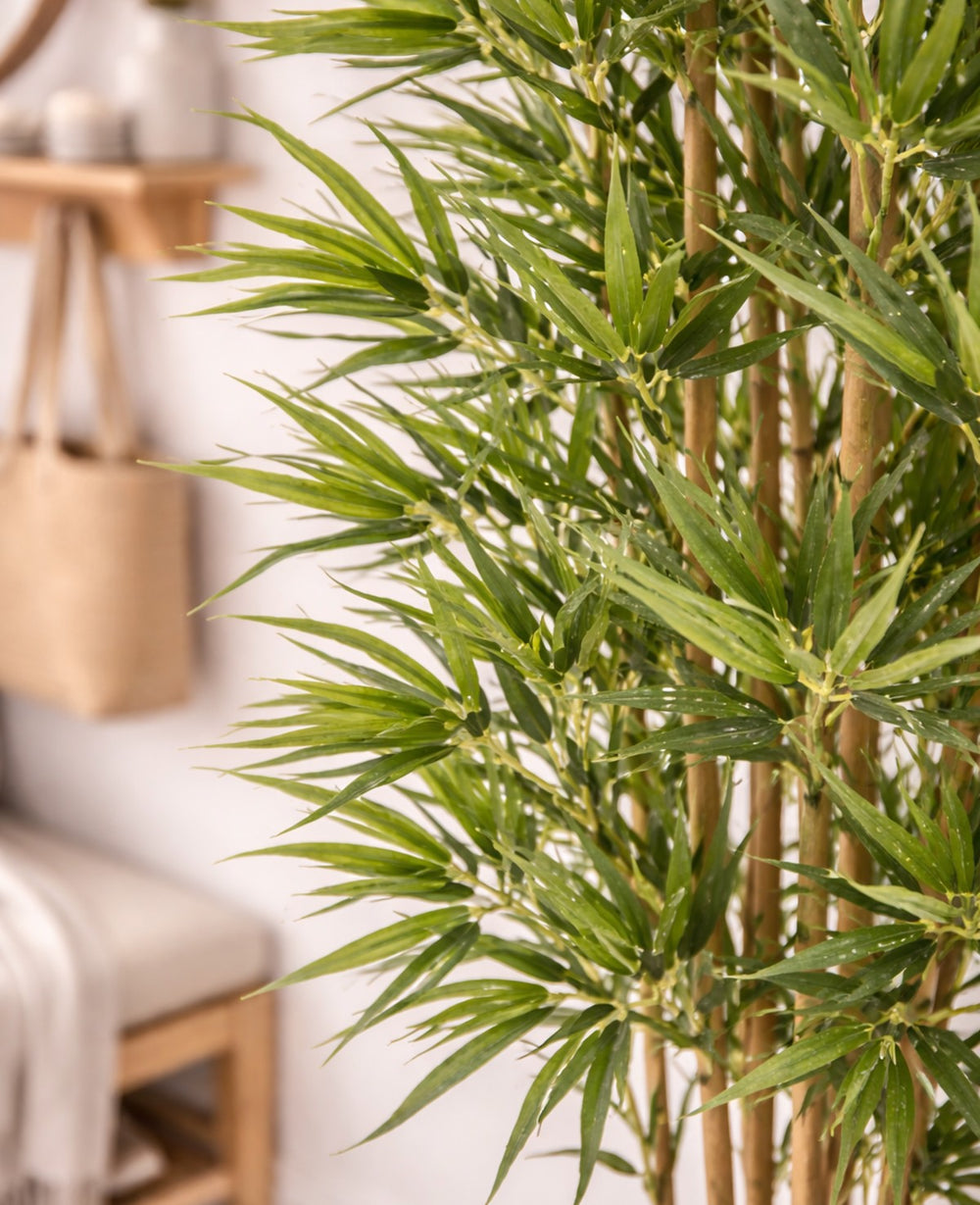 מלאכותי במבוק מלאכותי