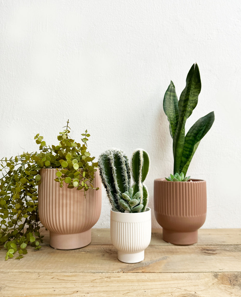 כלי לעציץ סטרייפ