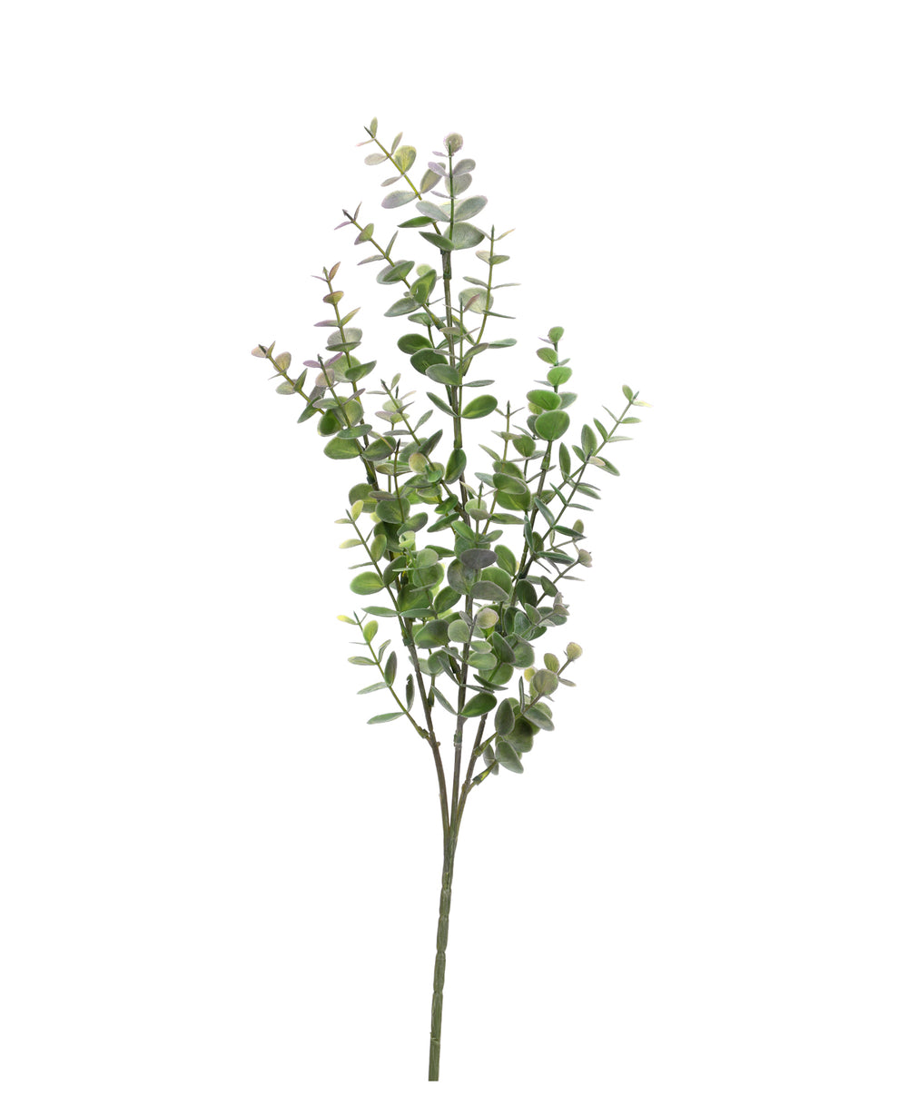 ענף מלאכותי הדס