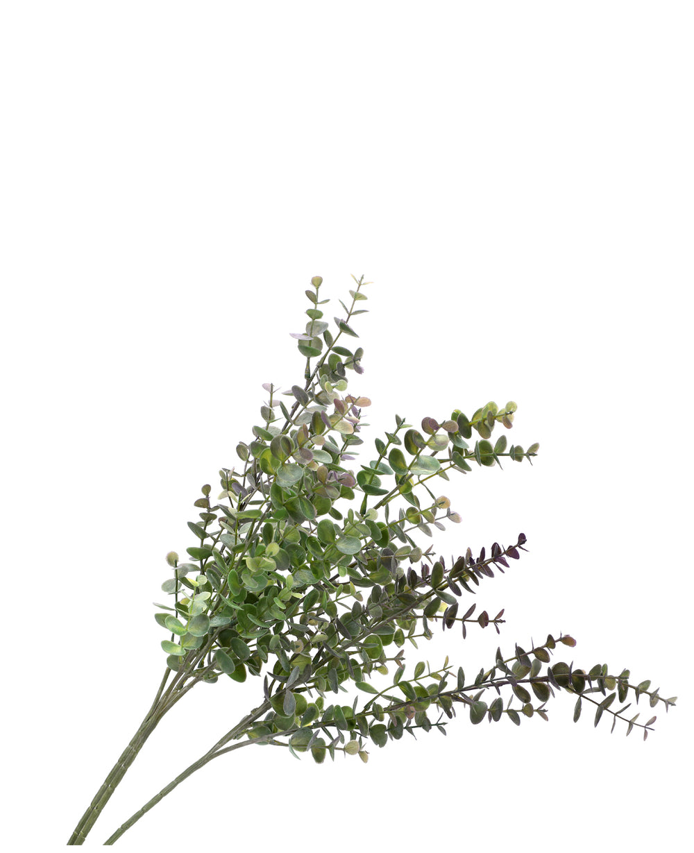 ענף מלאכותי הדס