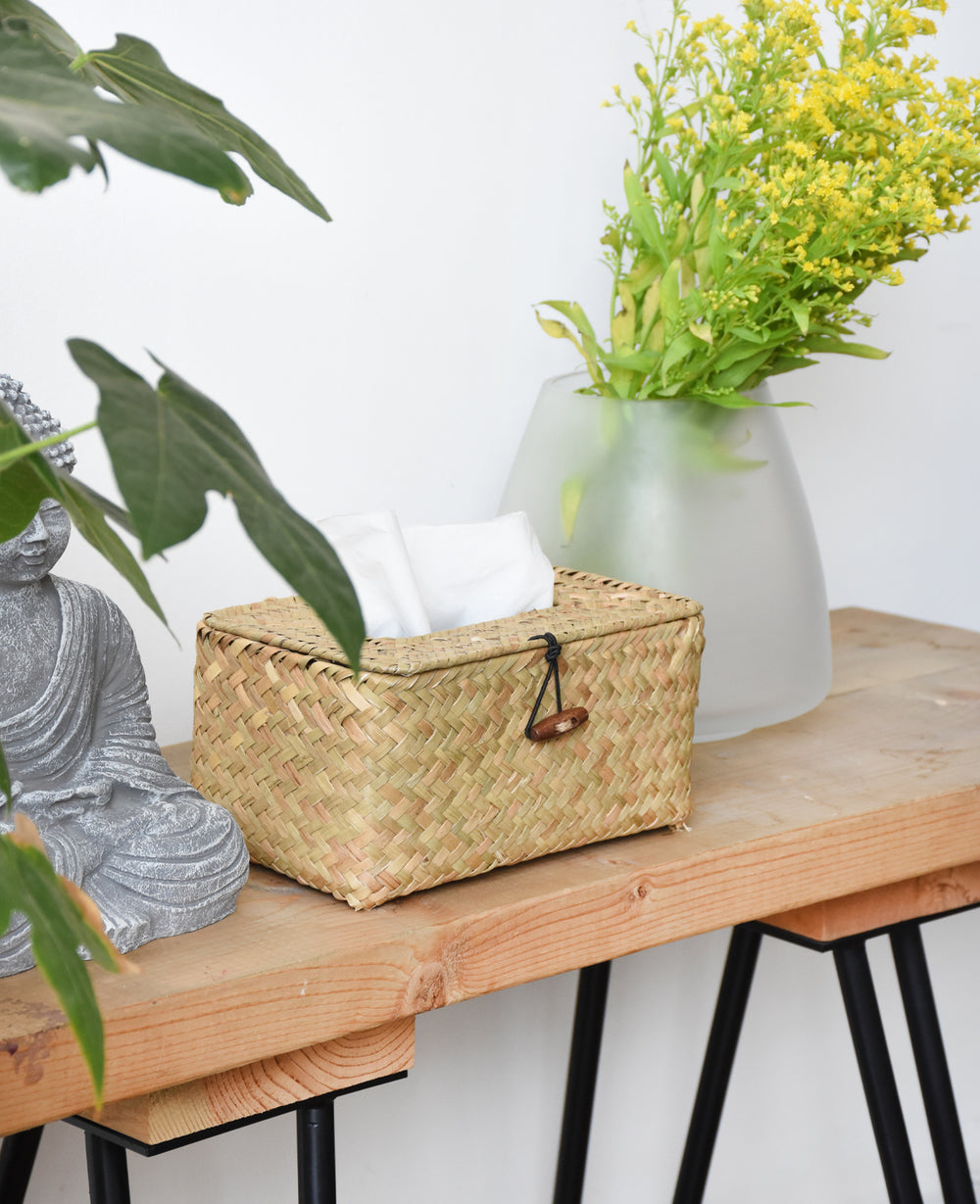 קופסת קש לטישו