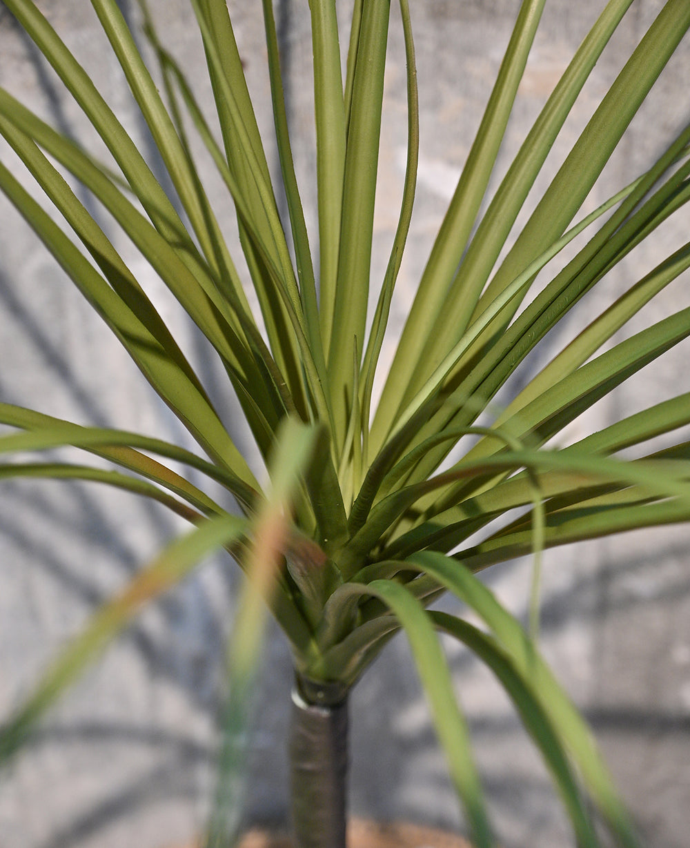 עציץ דרקון מלאכותי