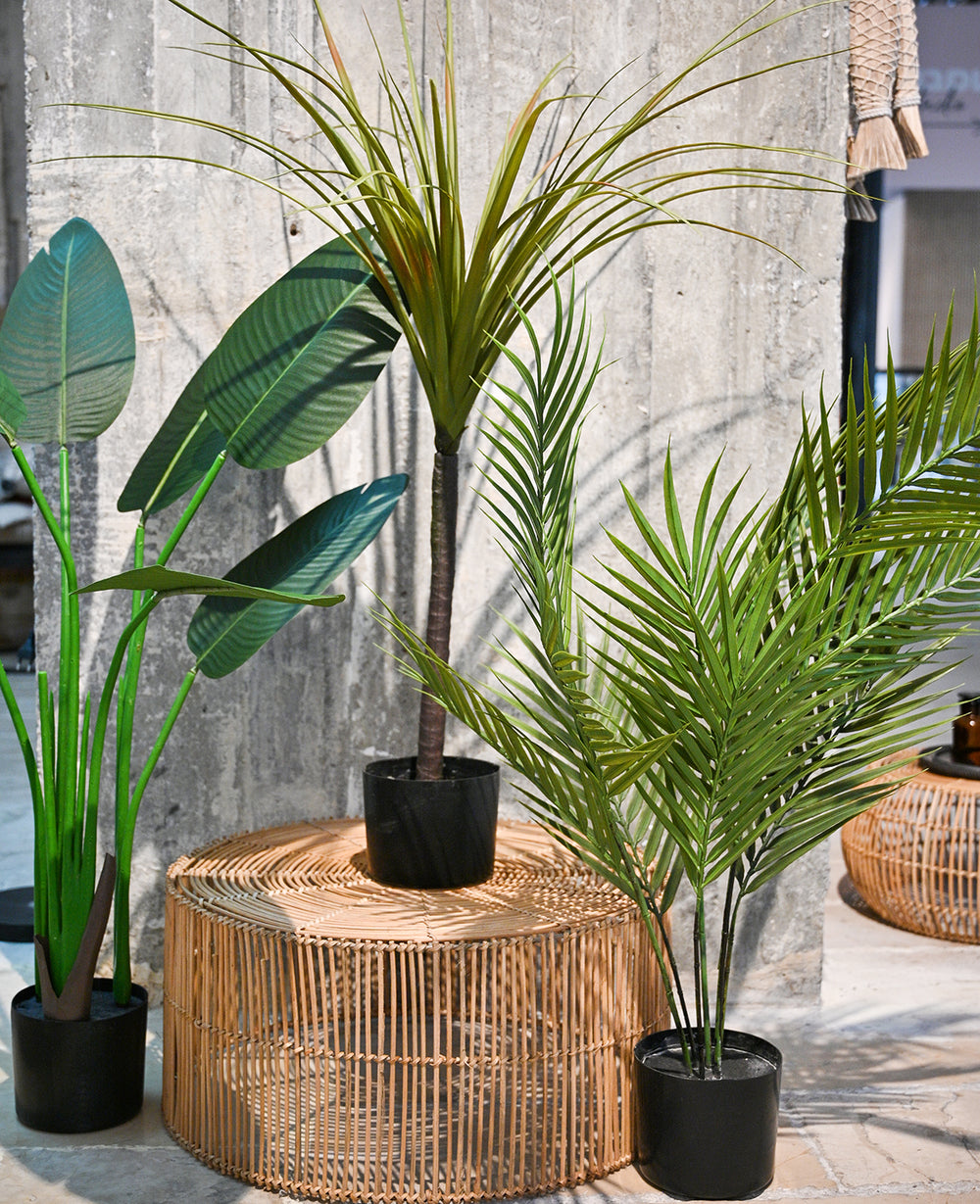 עציץ דרקון מלאכותי