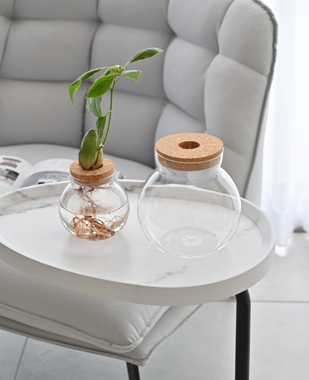 צנצנת זכוכית הידרופונית