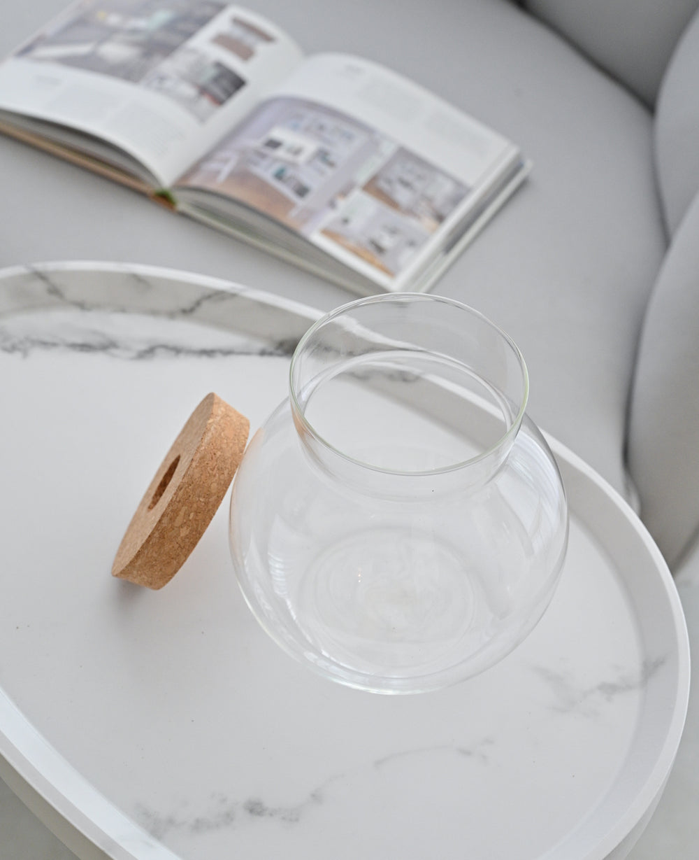 צנצנת זכוכית הידרופונית