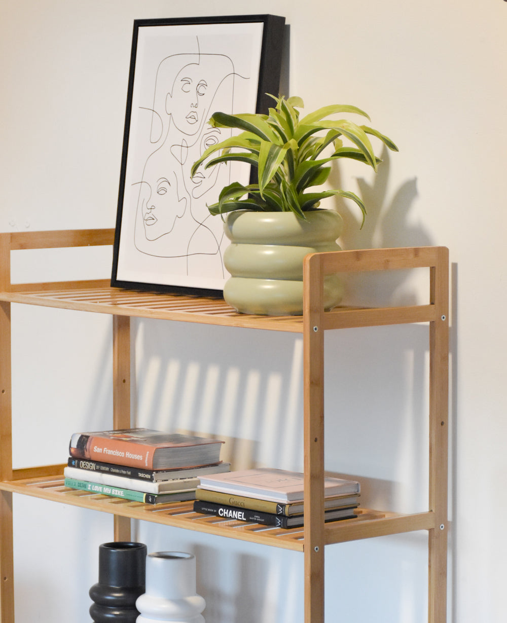 ארונית במבוק ARONIT