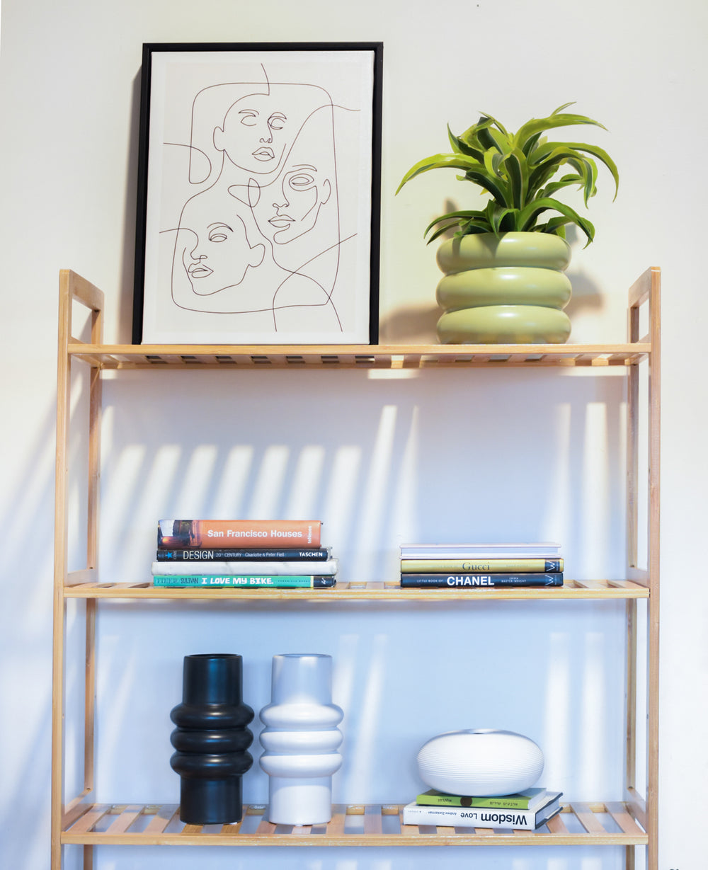 ארונית במבוק ARONIT