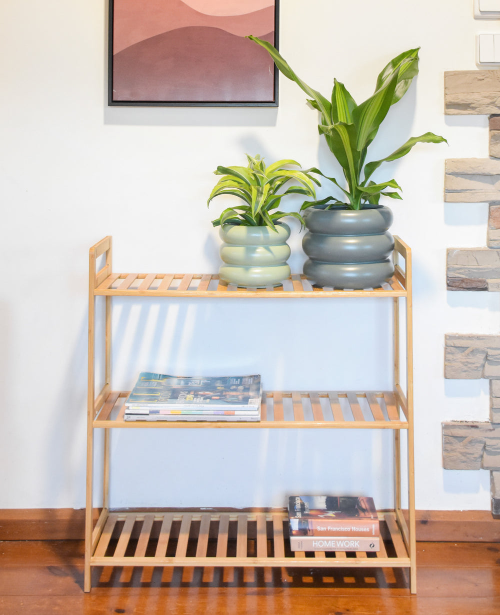 כוננית במבוק CONANIT