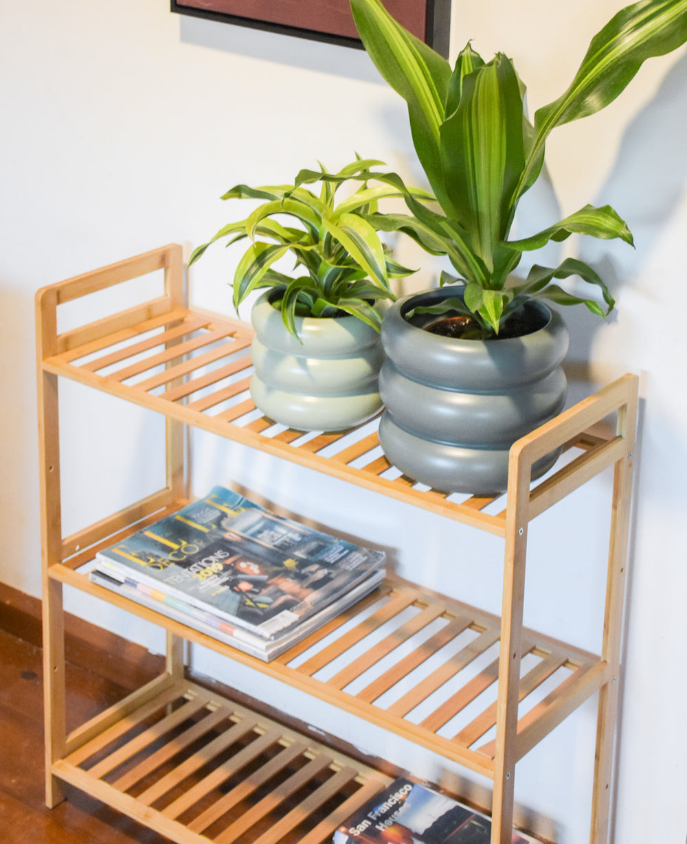 כוננית במבוק CONANIT