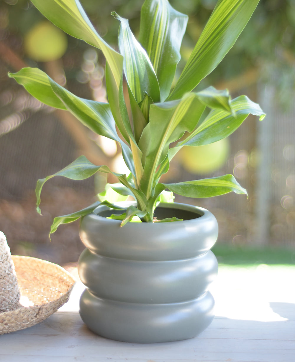 עציץ קרמיקה דונה