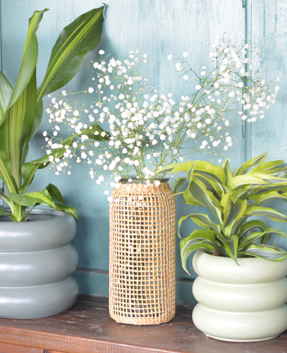 עציץ קרמיקה דונה